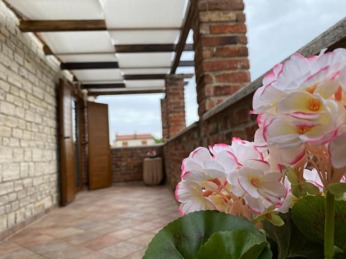Paradise Villa Cassonni Istria 4 Stars Butkovići Екстериор снимка
